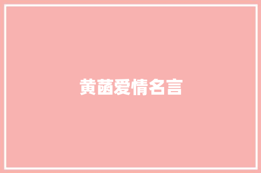 黄菡爱情名言