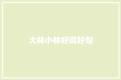 大林小林好词好句
