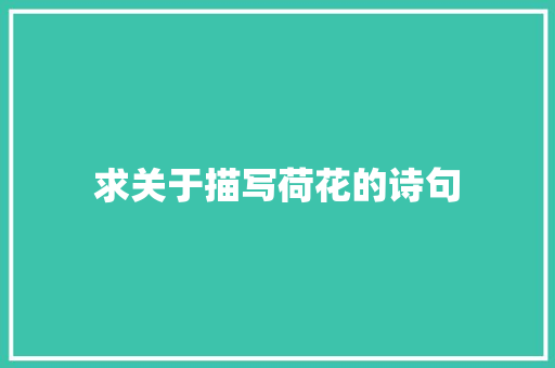 求关于描写荷花的诗句