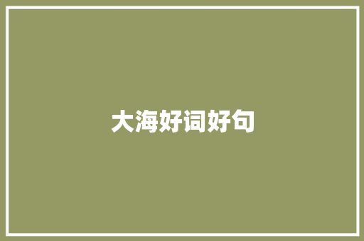 大海好词好句