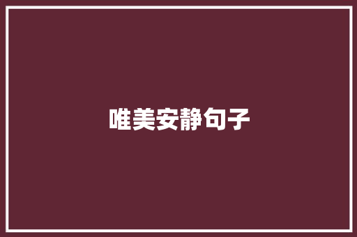 唯美安静句子