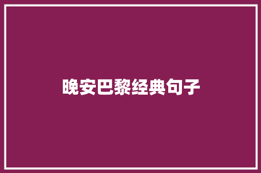 晚安巴黎经典句子