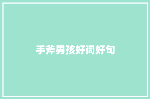 手斧男孩好词好句