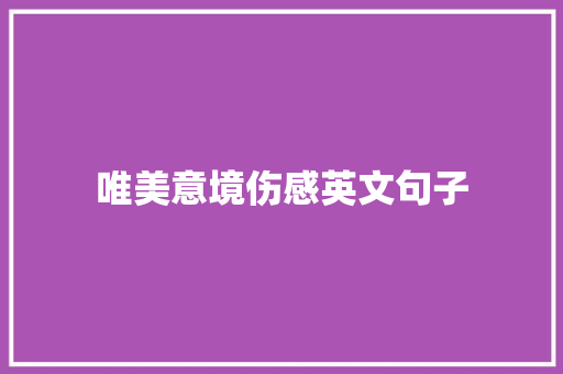 唯美意境伤感英文句子