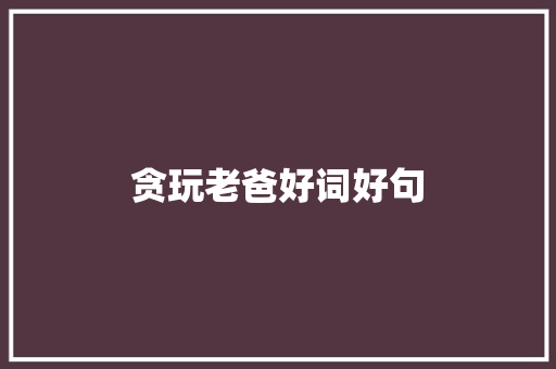 贪玩老爸好词好句