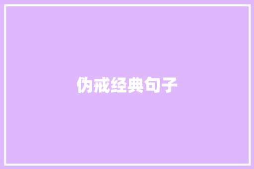 伪戒经典句子