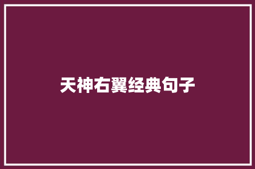 天神右翼经典句子