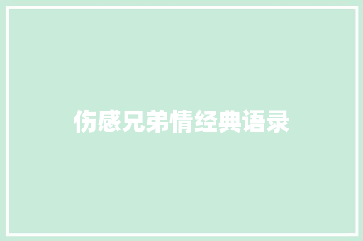 伤感兄弟情经典语录