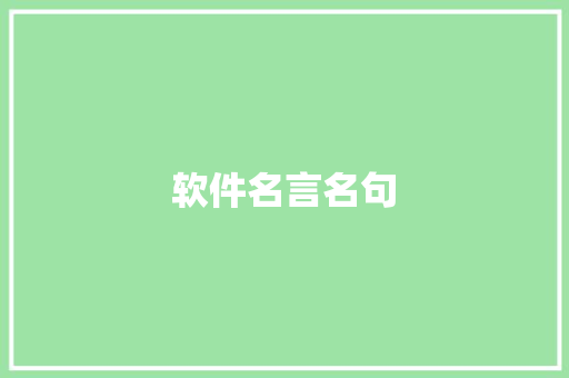 软件名言名句