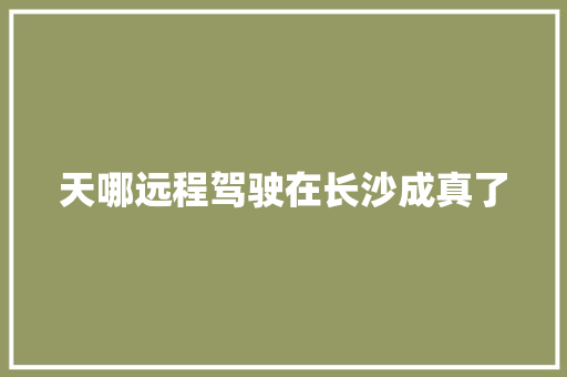 天哪远程驾驶在长沙成真了