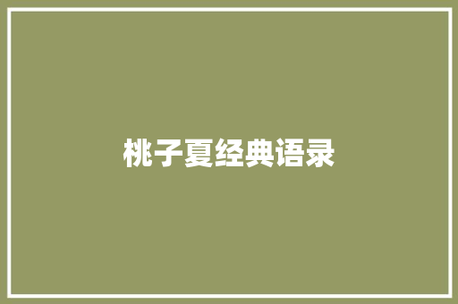 桃子夏经典语录