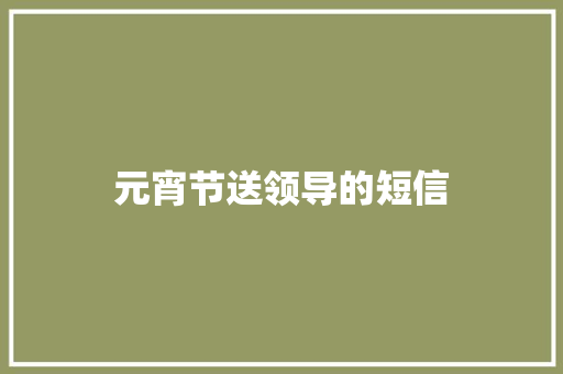 元宵节送领导的短信