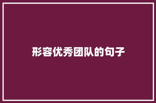 形容优秀团队的句子