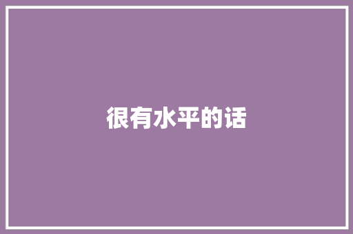 很有水平的话