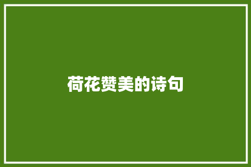 荷花赞美的诗句