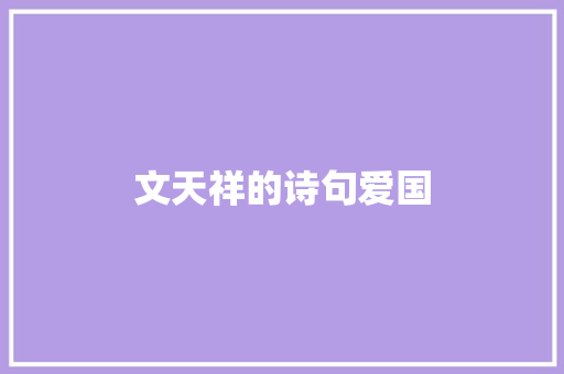 文天祥的诗句爱国