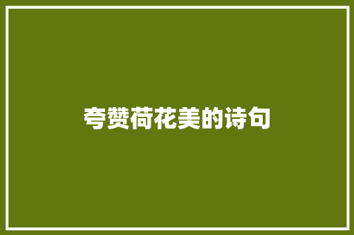 夸赞荷花美的诗句