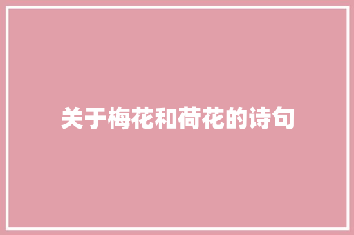 关于梅花和荷花的诗句