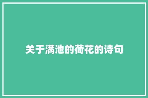 关于满池的荷花的诗句