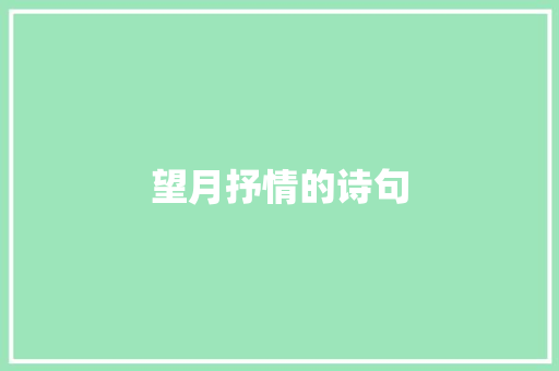 望月抒情的诗句
