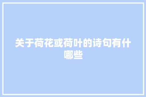 关于荷花或荷叶的诗句有什哪些
