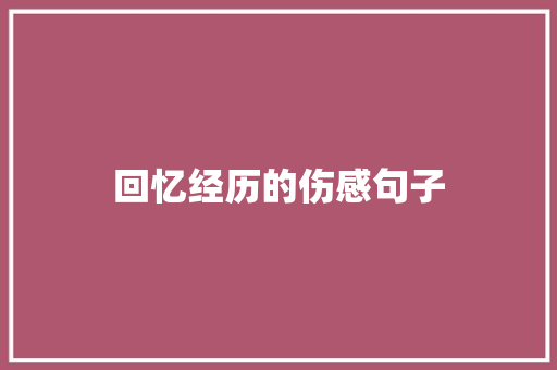 回忆经历的伤感句子