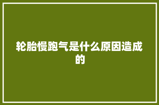 轮胎慢跑气是什么原因造成的 汽车知识