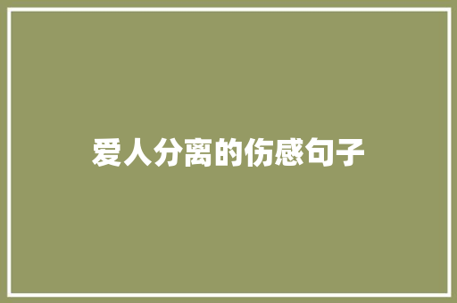 爱人分离的伤感句子