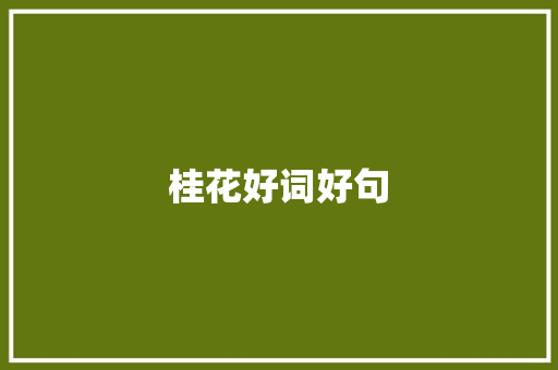 桂花好词好句
