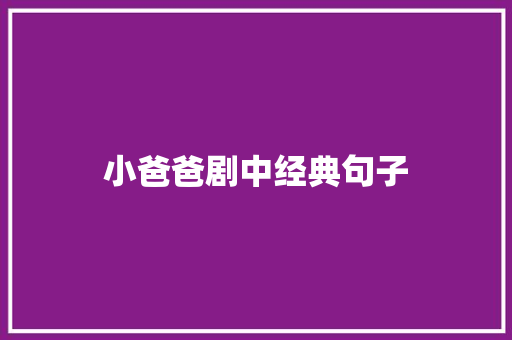 小爸爸剧中经典句子