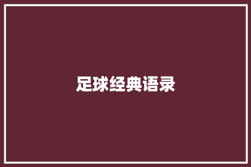 足球经典语录