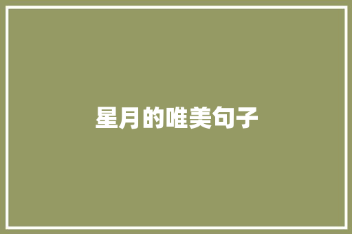 星月的唯美句子