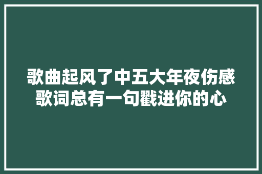 歌曲起风了中五大年夜伤感歌词总有一句戳进你的心