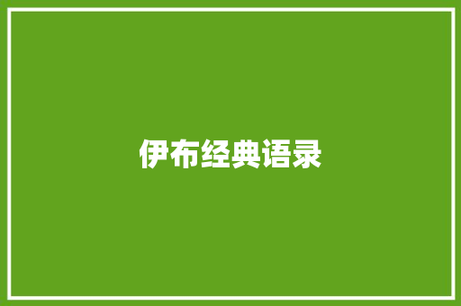 伊布经典语录