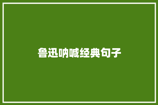 鲁迅呐喊经典句子