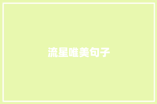 流星唯美句子