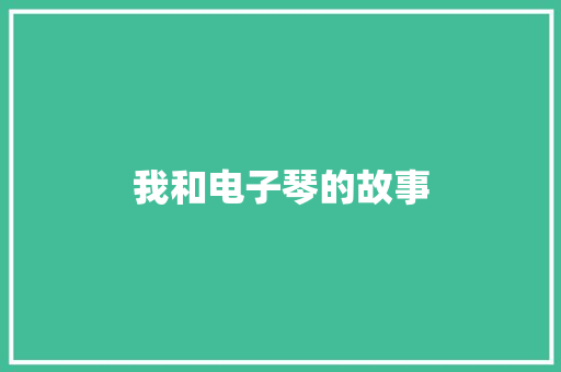 我和电子琴的故事
