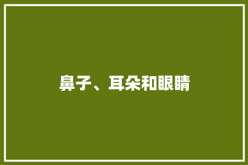 鼻子、耳朵和眼睛