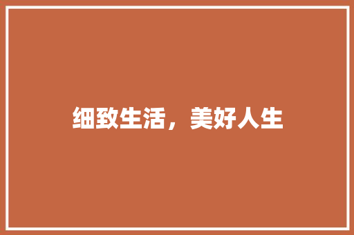 细致生活，美好人生
