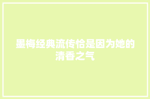 墨梅经典流传恰是因为她的清香之气 休闲娱乐