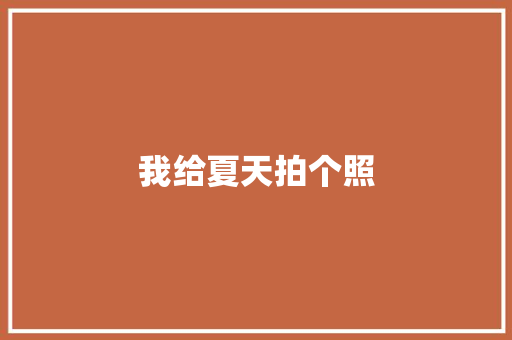 我给夏天拍个照