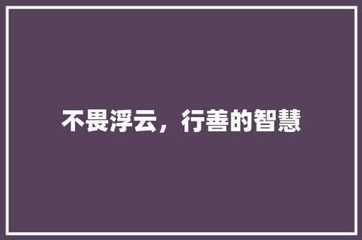 不畏浮云，行善的智慧