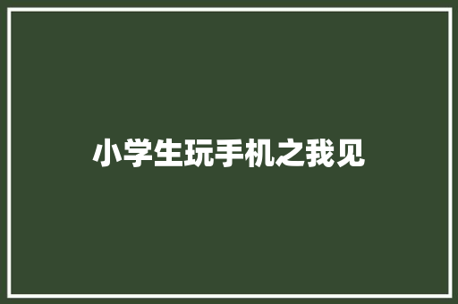 小学生玩手机之我见