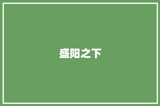 盛阳之下