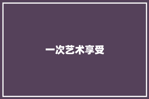一次艺术享受