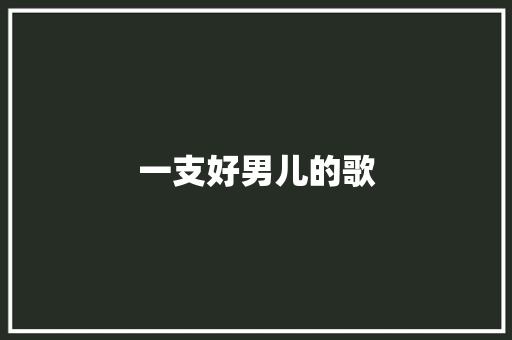 一支好男儿的歌