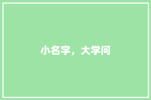 小名字，大学问