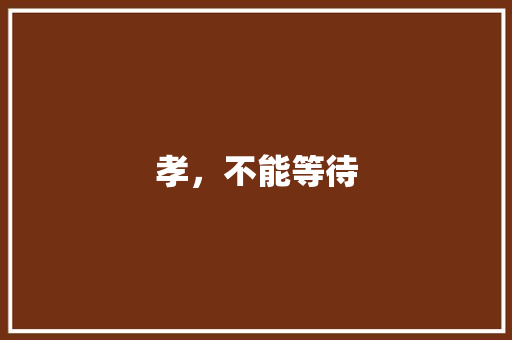 孝，不能等待