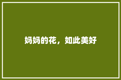 妈妈的花，如此美好