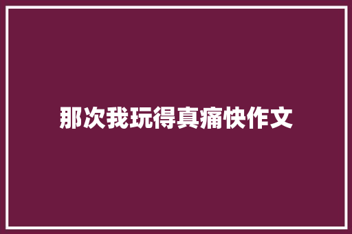 那次我玩得真痛快作文
